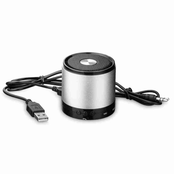 PURE. Speaker with microphone