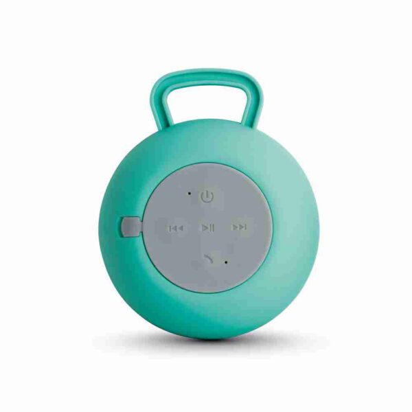 ECCLES. Speaker with microphone