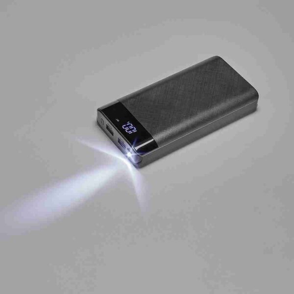 RAMAN. Portable battery