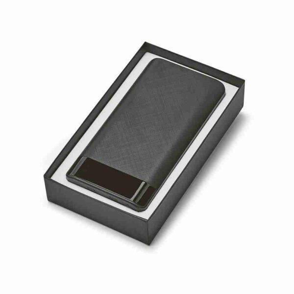 RAMAN. Portable battery