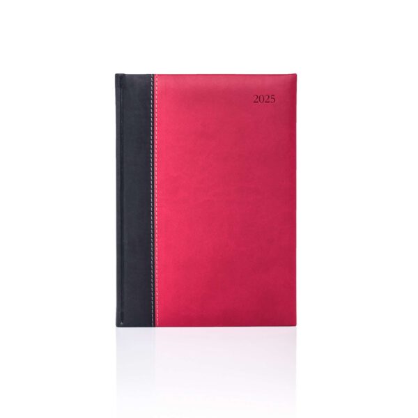 Costa Rica A5 Daily Diary