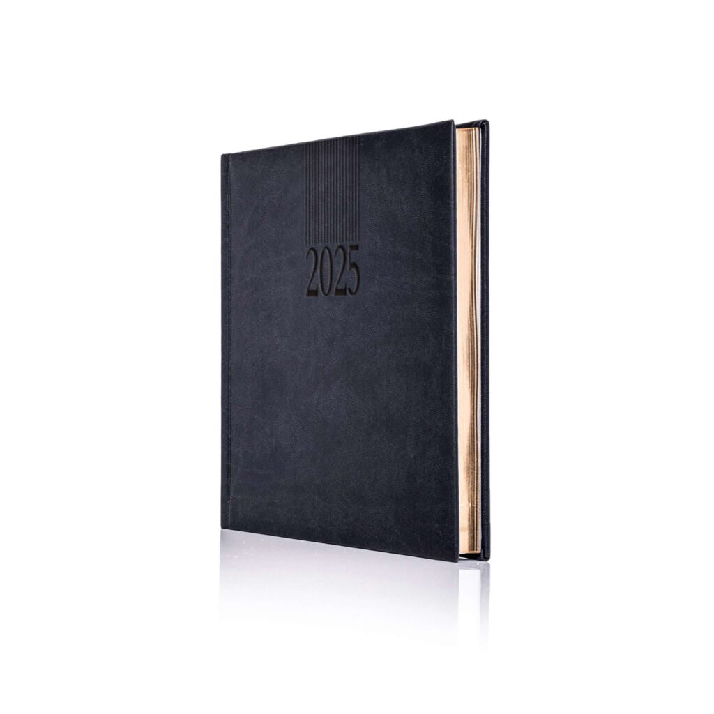 Tucson A5 Daily Diary
