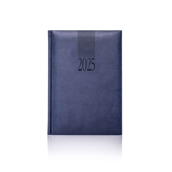 Tucson A5 Daily Diary