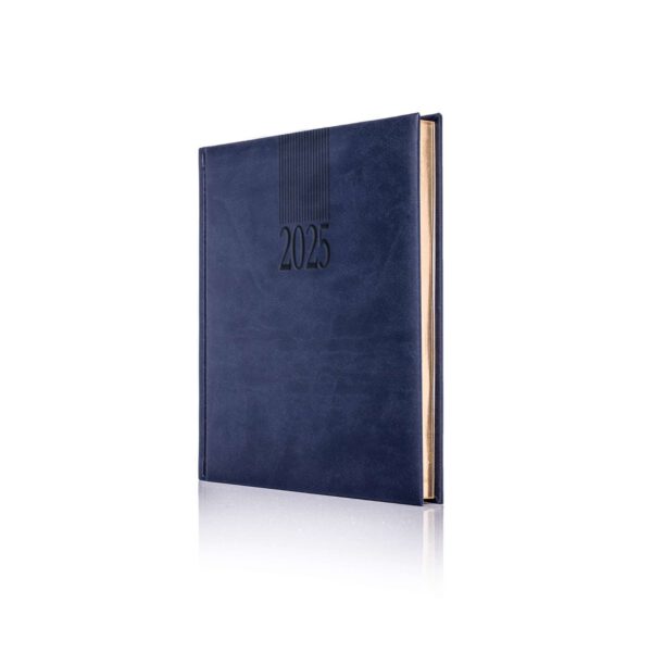 Tucson A5 Daily Diary