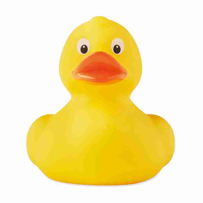 DUCK - Image 1