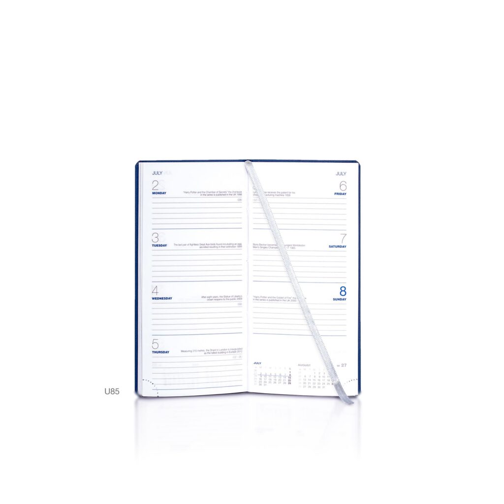 De Luxe Pocket Weekly Diary Silver Trim