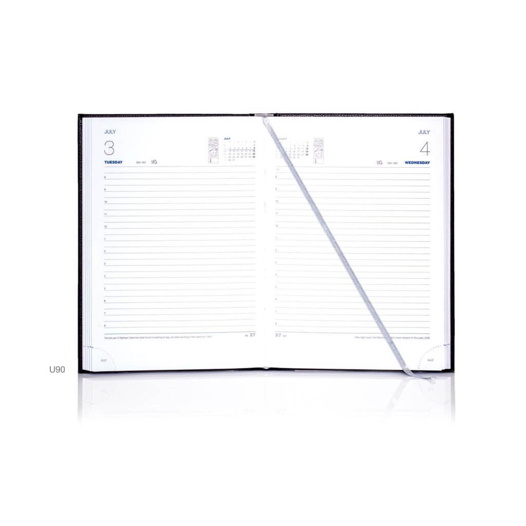 De Luxe A5 Daily Diary Silver Trim