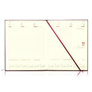 De Luxe Quarto Weekly Diary Gold Trim - Image 2